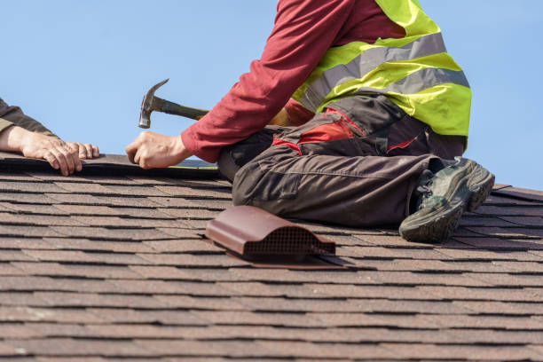Best Metal Roofing Contractor  in Grayvle, IL