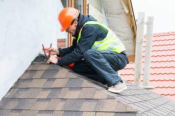 Best Local Roofing Companies  in Grayvle, IL