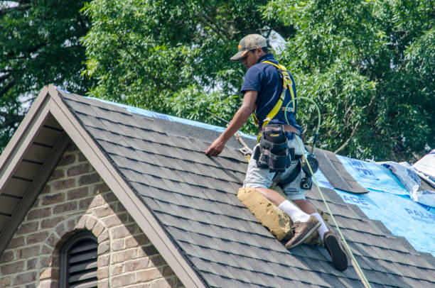 Best New Roof Installation  in Grayvle, IL