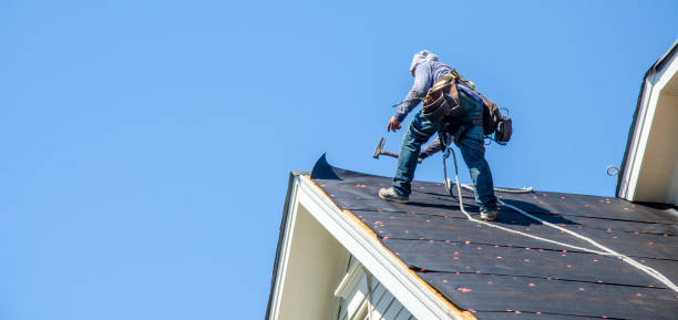 Best Storm Damage Roof Repair  in Grayvle, IL